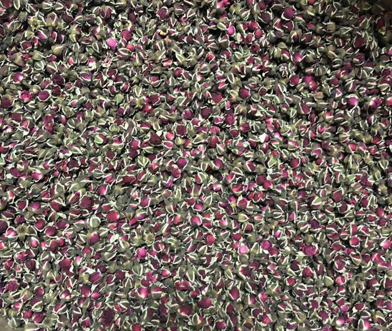 Бутони троянд